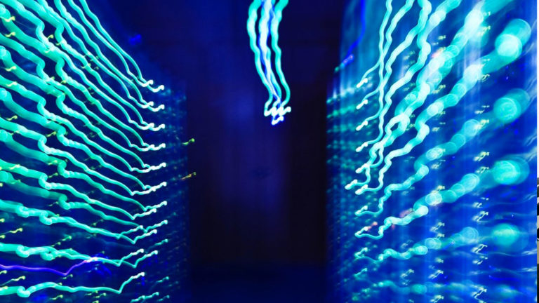 Oracle e CERN openlab, rinnovata la partnership all’insegna del cloud
