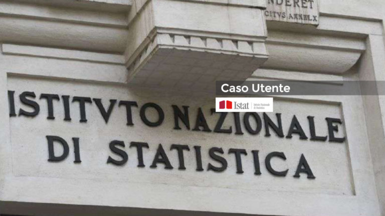 Istat: una digitalizzazione di successo