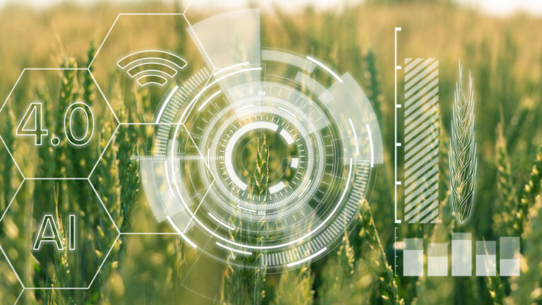 Due nuove lauree e l'innovation broker per far decollare l'Agricoltura 4.0
