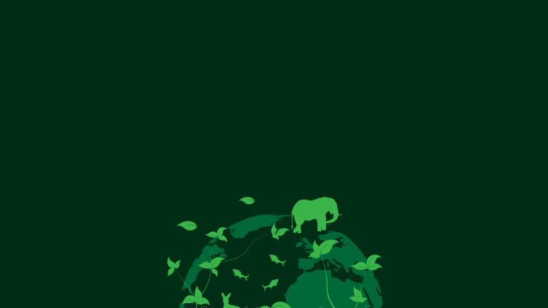 biodiversità
