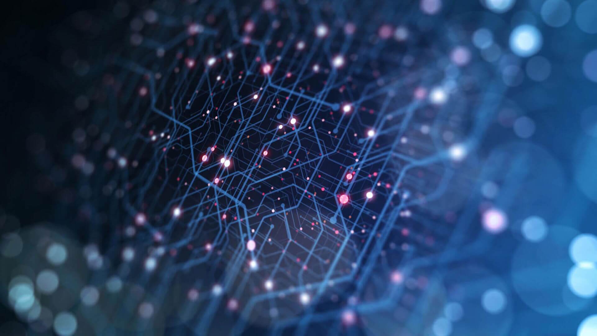 Gestione dei dati