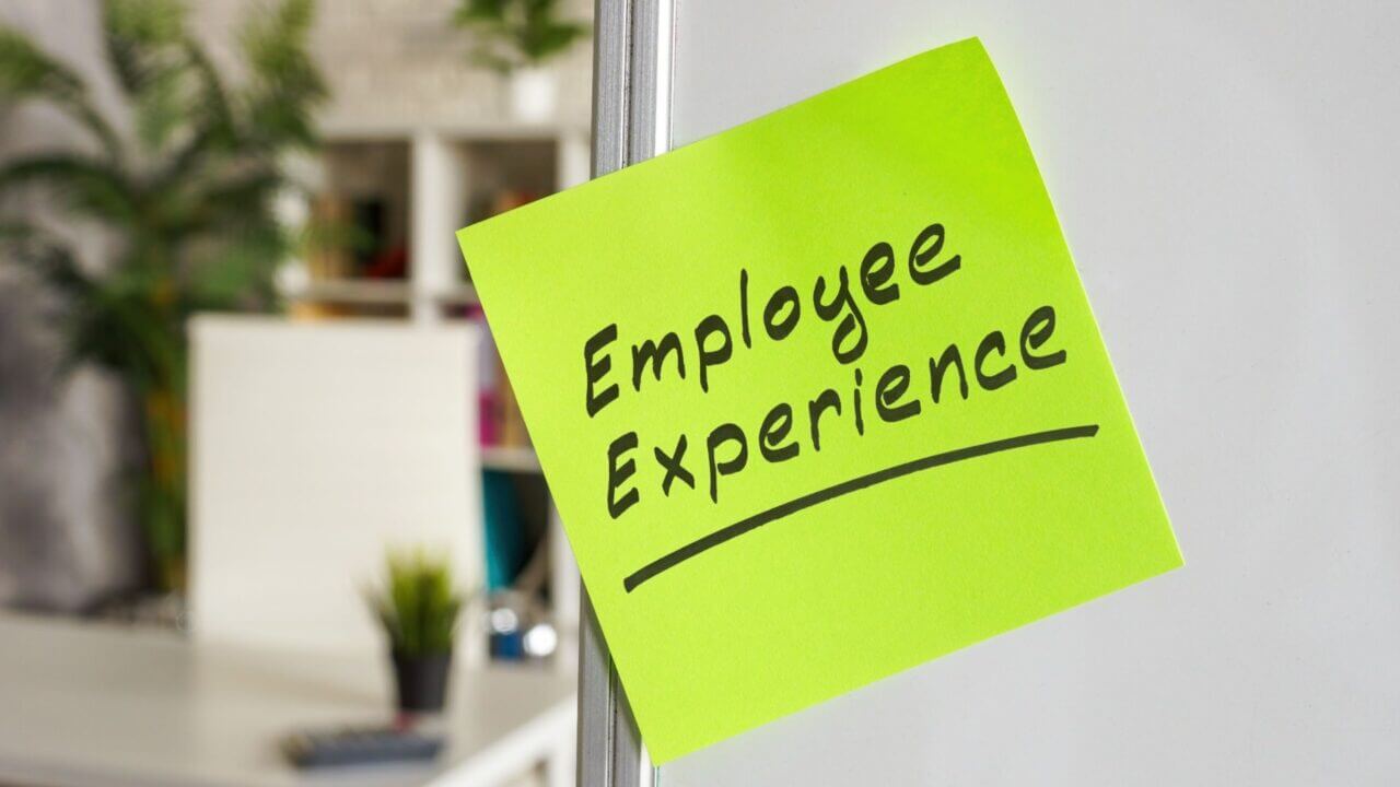 Shutterstock_2231242951