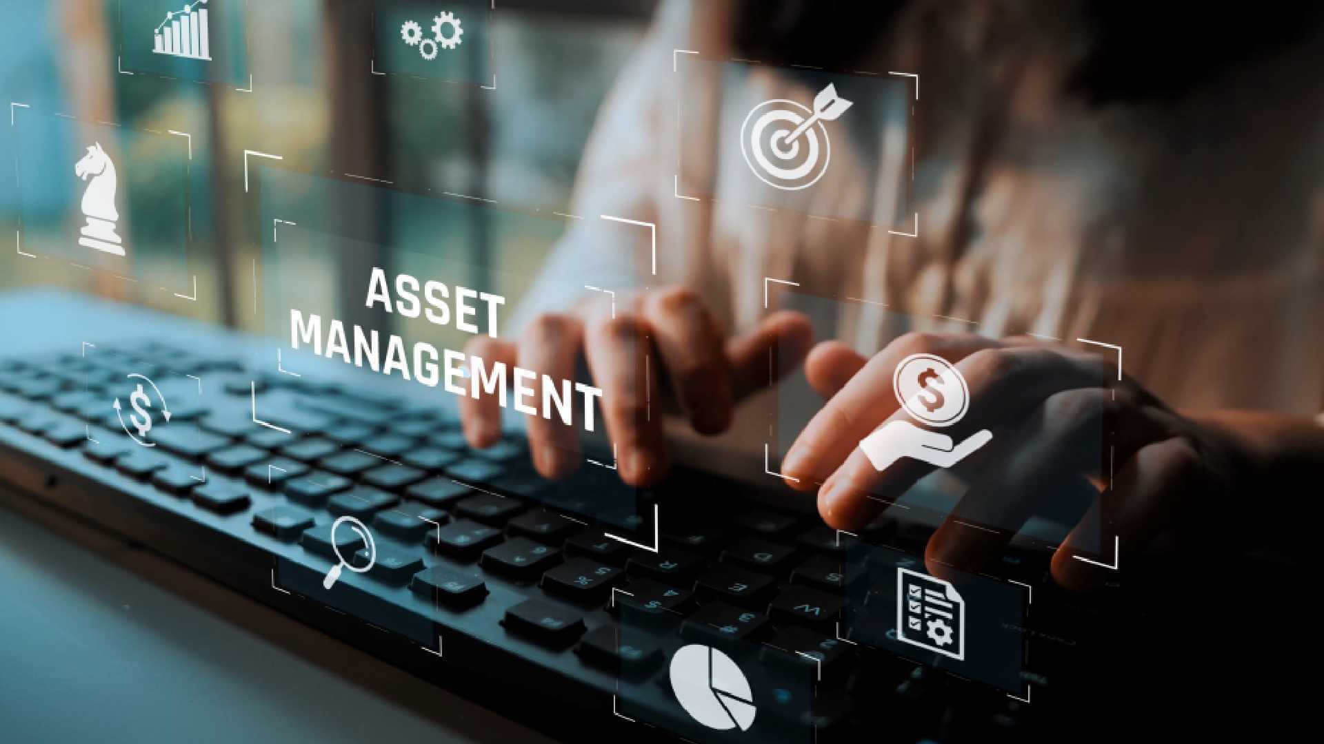 gestione degli asset